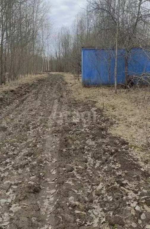 Участок в Владимирская область, Муром с. Дмитриевская Слобода, ул. ... - Фото 1