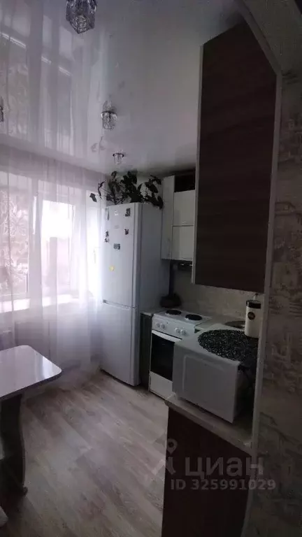 1-к кв. Кемеровская область, Юрга Волгоградская ул., 1 (31.0 м) - Фото 2