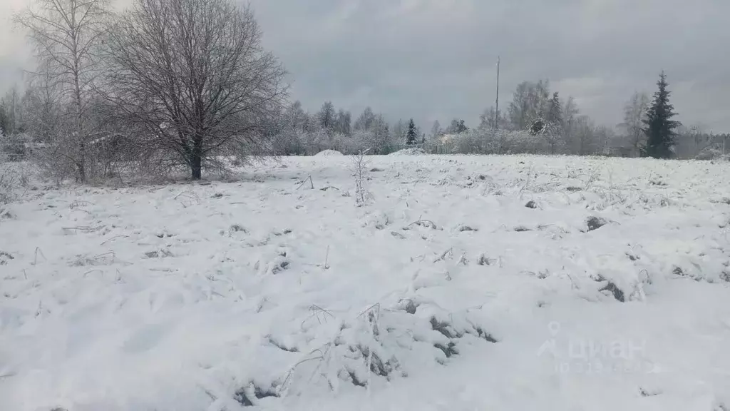 Участок в Московская область, Можайский муниципальный округ, д. ... - Фото 0