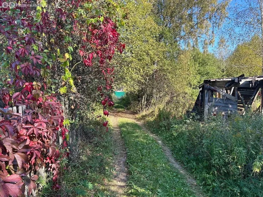 участок в александров, снт марино (6.8 м) - Фото 0