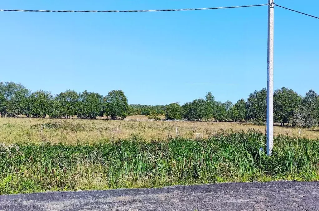 Участок в Ленинградская область, Всеволожский район, Романовское ... - Фото 0