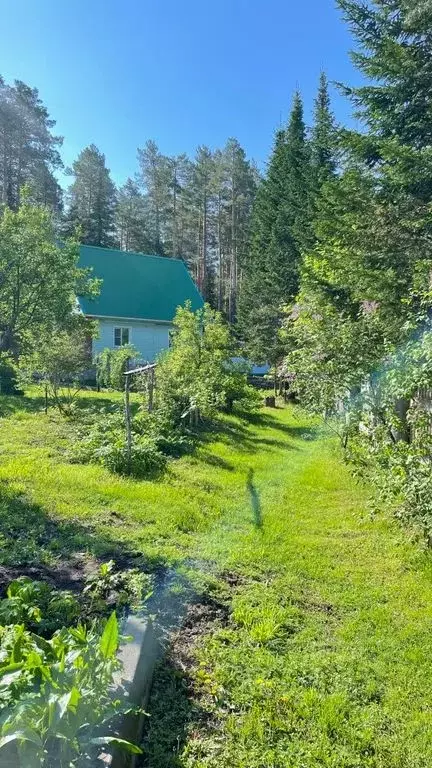 Дом в Алтай, Турочакский район, с. Турочак Береговая ул., 97 (100 м) - Фото 0