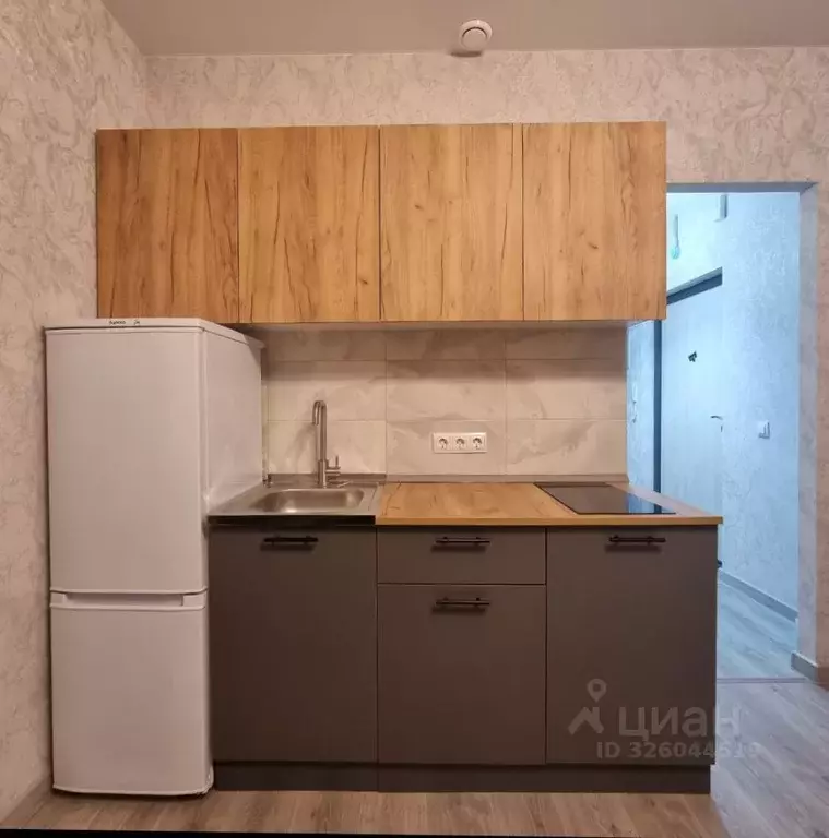 Студия Санкт-Петербург пос. Шушары, просп. Старорусский, 3к2 (26.0 м) - Фото 2