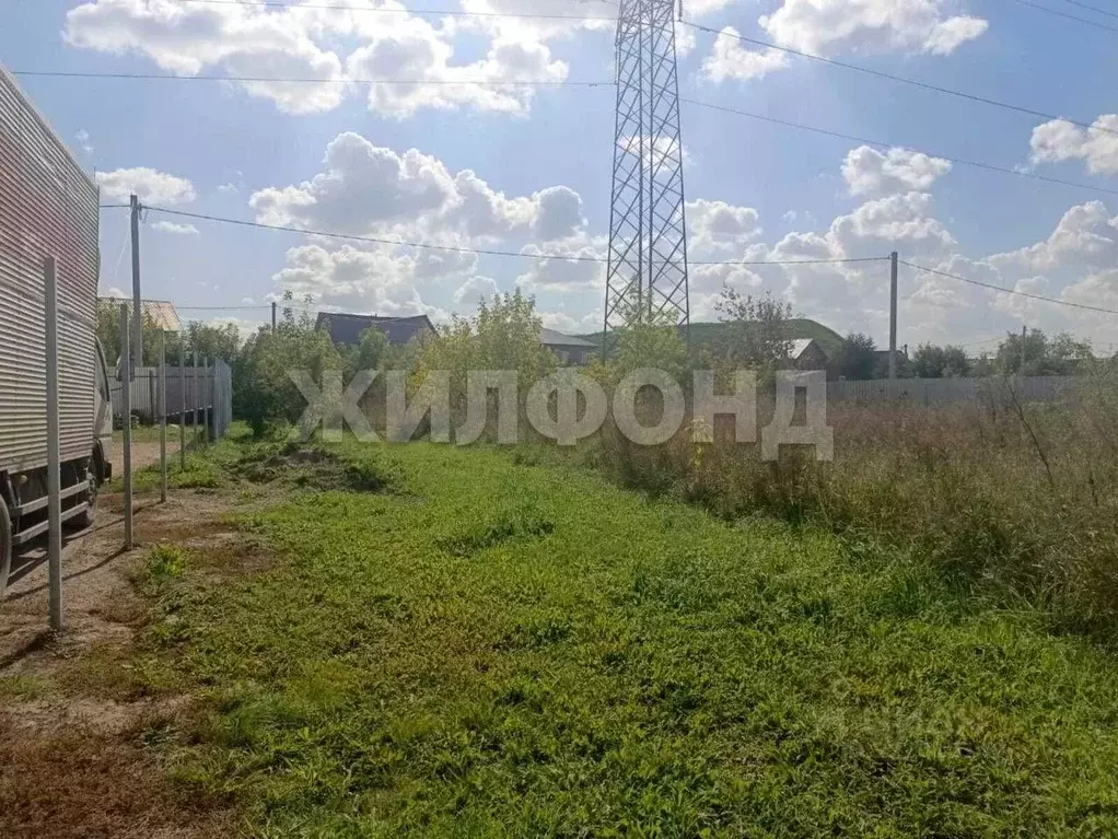 Участок в Новосибирская область, Новосибирский район, с. Толмачево ул. ... - Фото 0