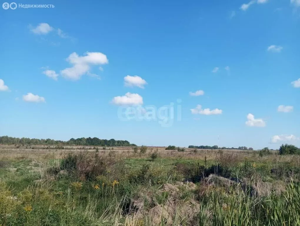Участок в Калининградская область, Зеленоградский муниципальный округ, ... - Фото 2