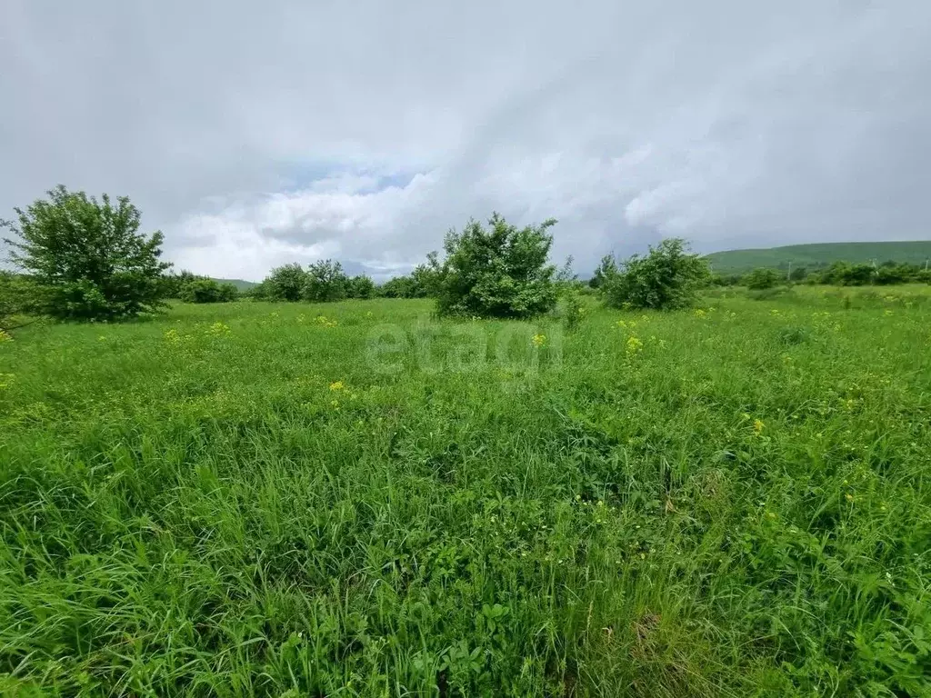 Участок в Алтайский край, Алтайский район, Айский сельсовет, с. Ая  ... - Фото 1