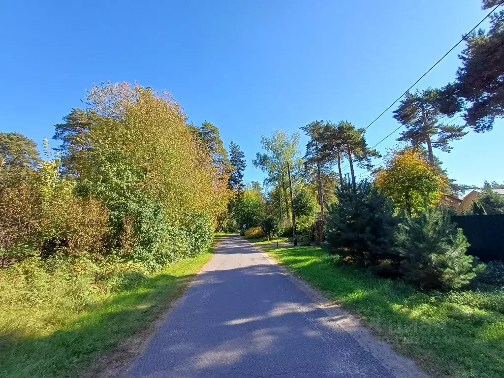 Участок в Московская область, Люберцы городской округ, Малаховка пгт ... - Фото 2