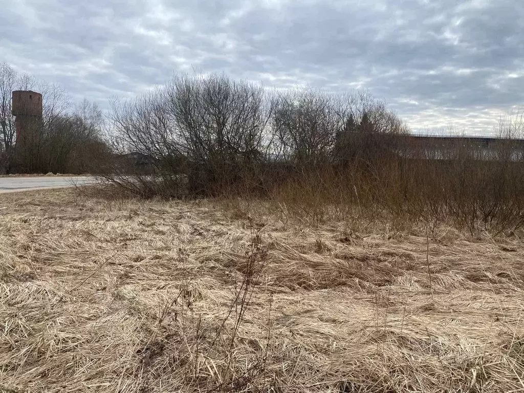 Участок в Московская область, Талдомский городской округ, с. ... - Фото 1