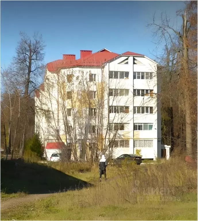 Помещение свободного назначения в Татарстан, Зеленодольск ул. ... - Фото 1