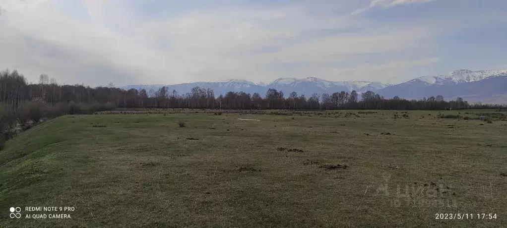 участок в алтай, усть-коксинский район, с. горбуново (20.0 сот.) - Фото 1