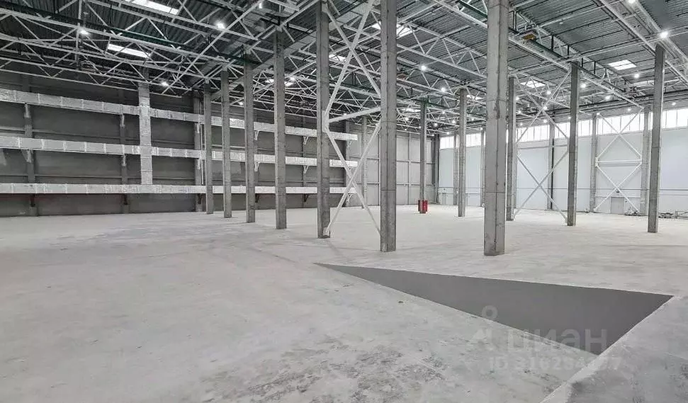 Склад в Московская область, Раменское ул. Михалевича, 49 (5200 м) - Фото 2