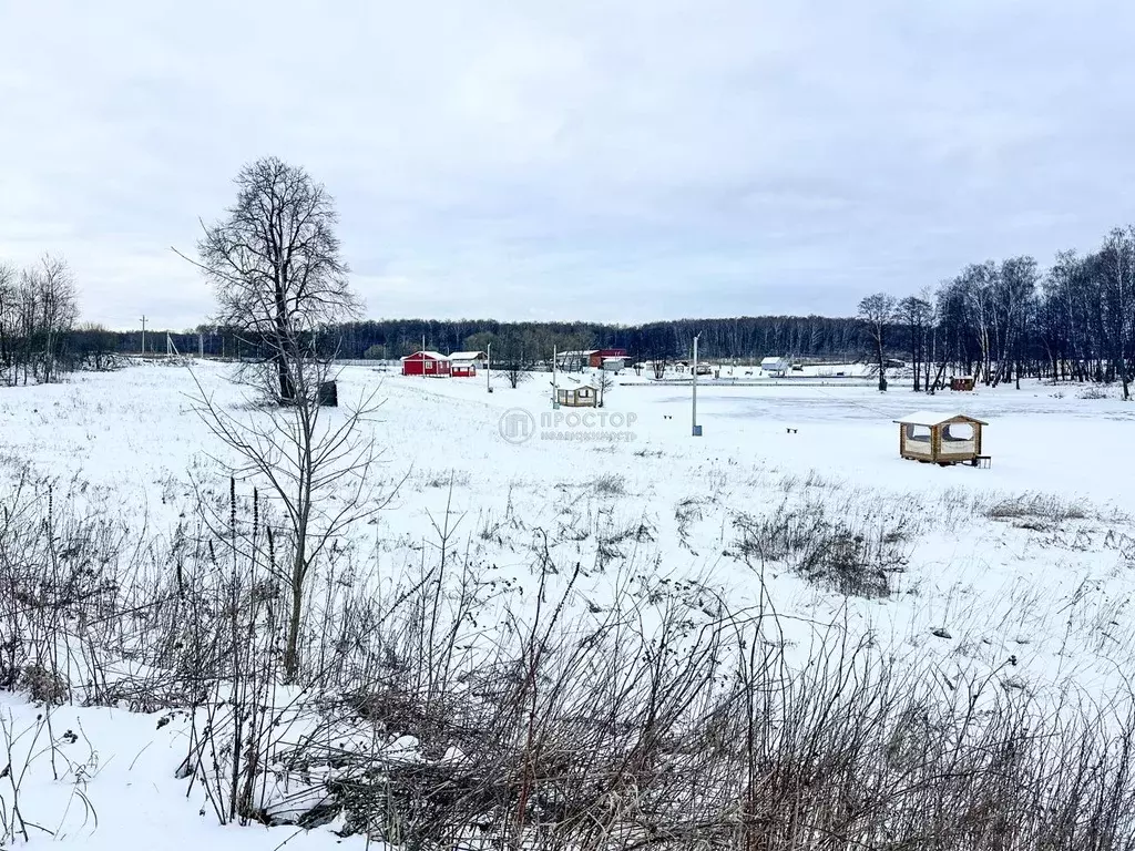 Участок в Московская область, Домодедово городской округ, д. ... - Фото 1