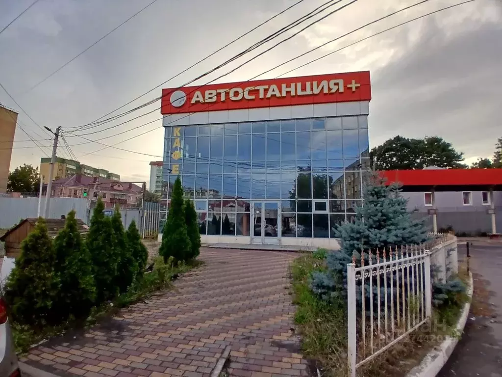 Помещение свободного назначения в Курская область, Курск ул. Бутко, 41 ... - Фото 1