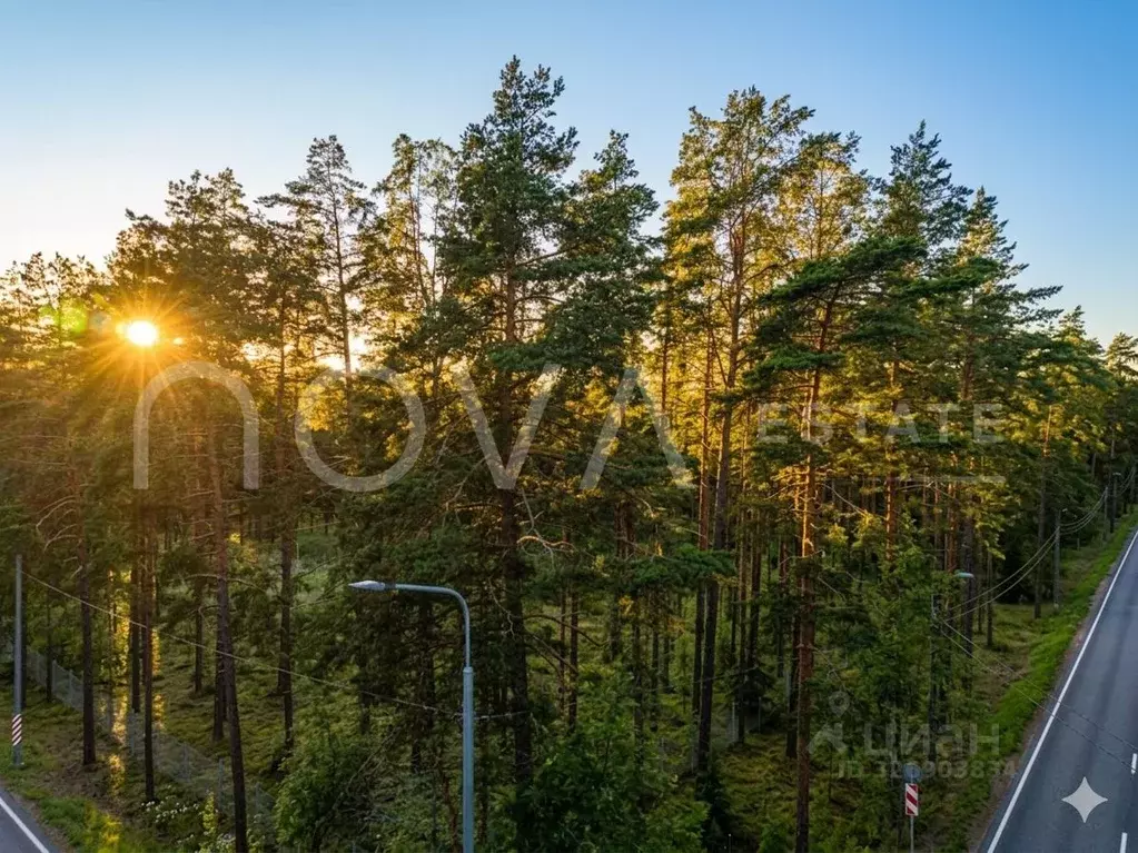 Участок в Санкт-Петербург пос. Комарово, просп. Лесной (35.0 сот.) - Фото 2