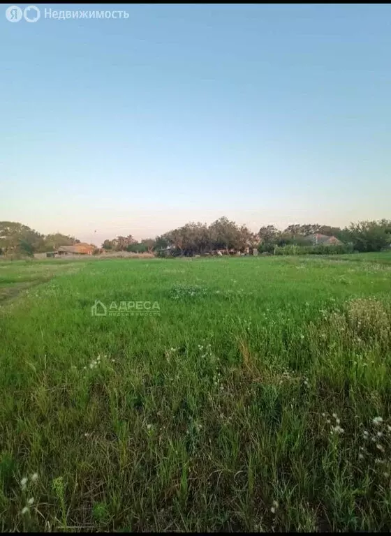 Участок в село Кулешовка, Степная улица (4 м) - Фото 0