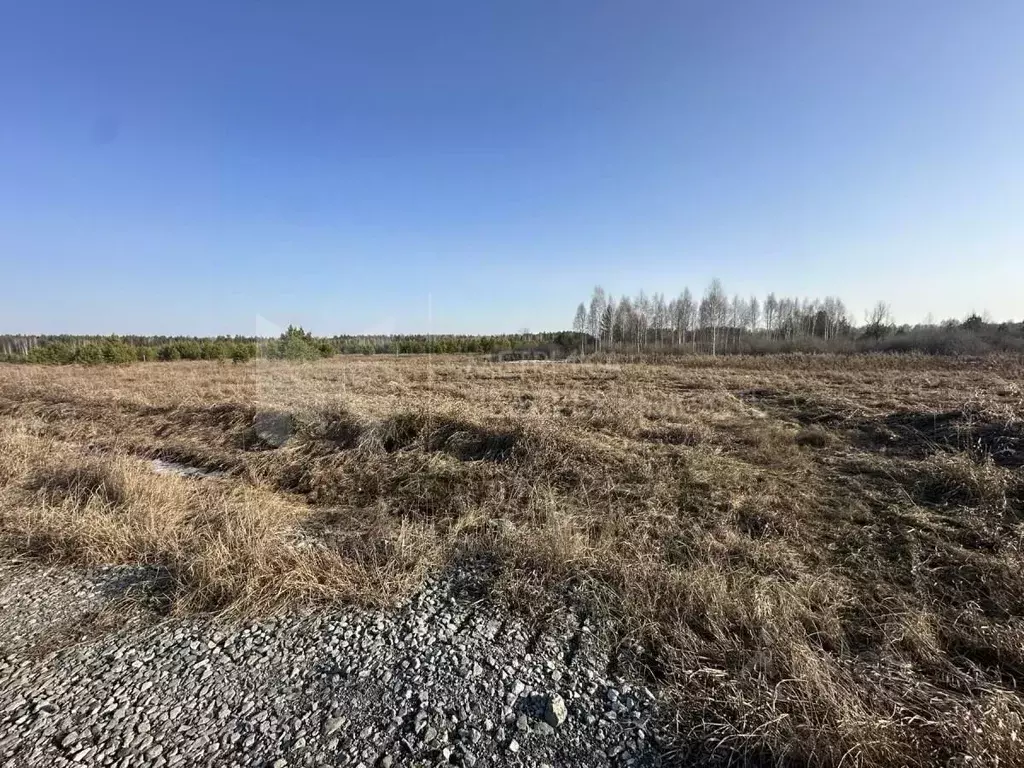 Участок в Тюменская область, Нижнетавдинский район, Березка СНТ  (11.0 ... - Фото 1