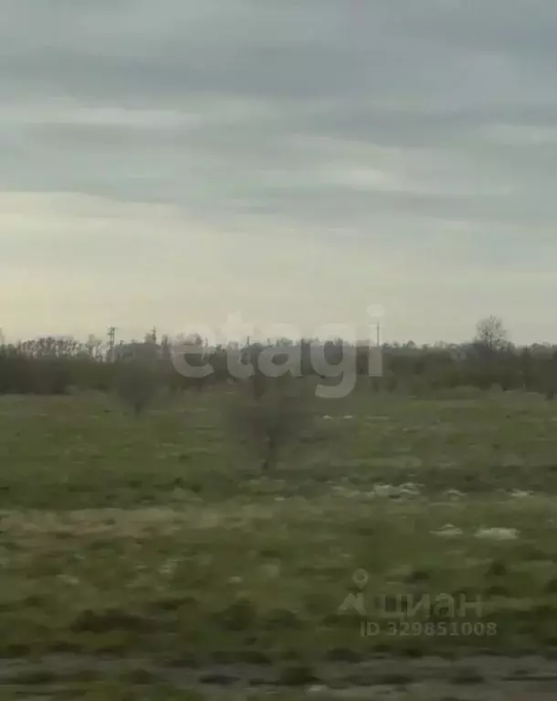 Участок в Калининградская область, Зеленоградский муниципальный округ, ... - Фото 2