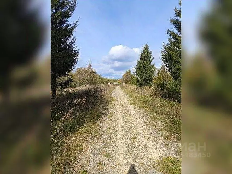 Участок в Ивановская область, Кинешма Загородная ул. (9.24 сот.) - Фото 0