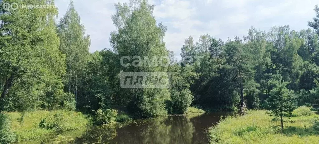 Участок в Ярославская область, Переславль-Залесский муниципальный ... - Фото 2