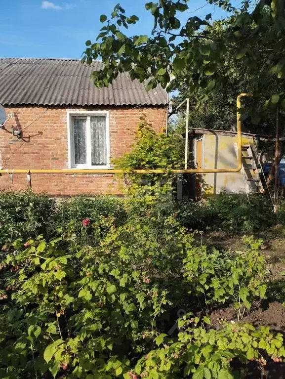 1-к кв. Белгородская область, Новооскольский муниципальный округ, пос. ... - Фото 1