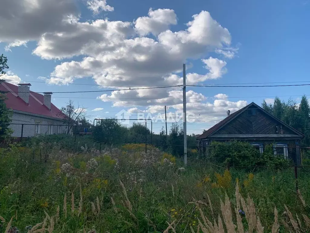 Участок в Нижегородская область, Нижний Новгород д. Бешенцево, 79 ... - Фото 2