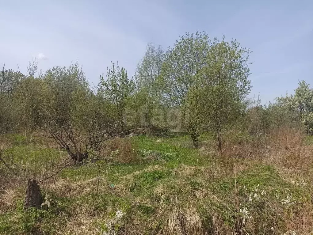 Участок в Костромская область, Кострома Строительная ул. (4.5 сот.) - Фото 2