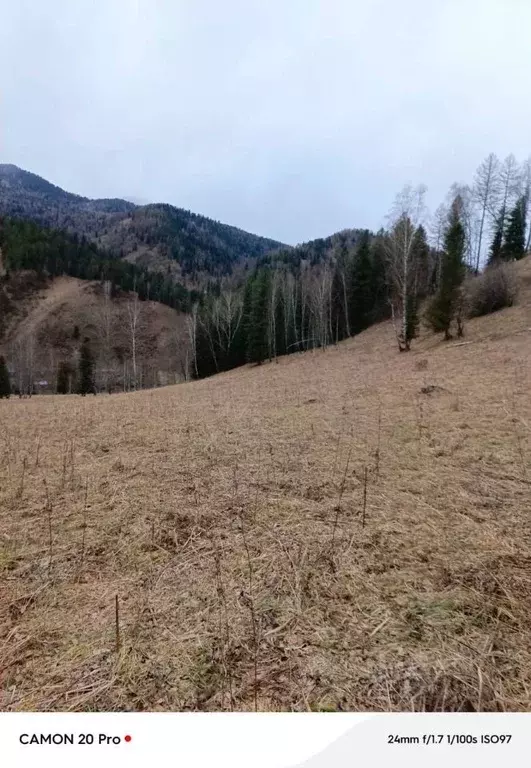 Участок в Алтай, Чемальский район, Элекмонарское с/пос  (300.0 сот.) - Фото 1