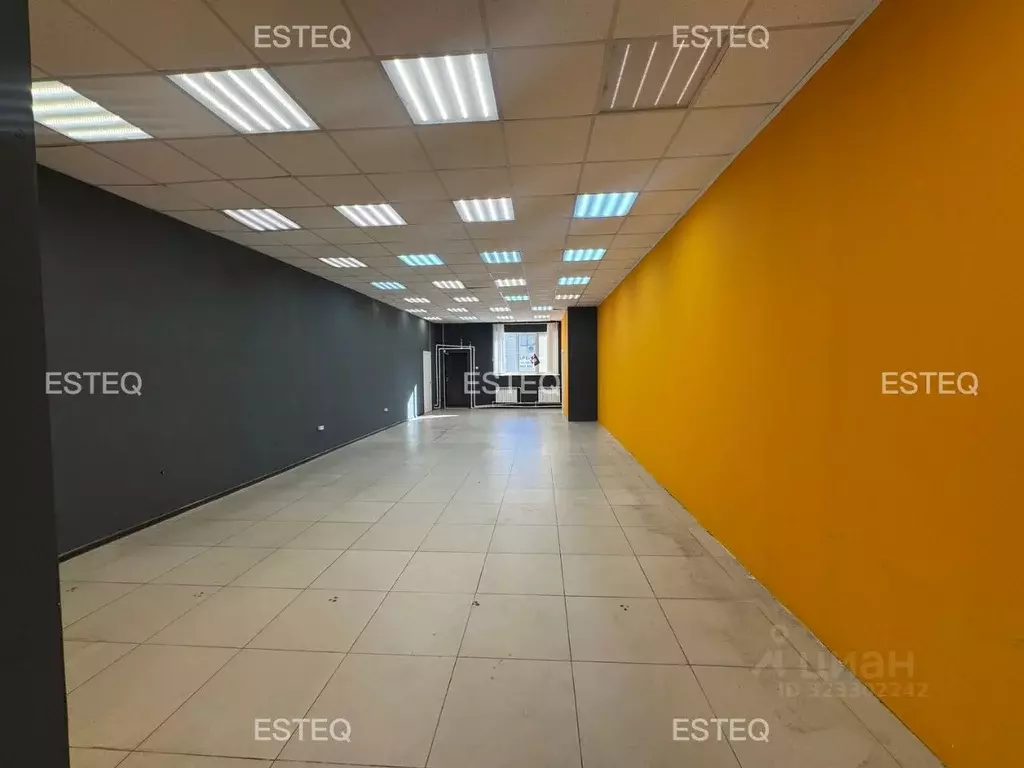 Торговая площадь в Новосибирская область, Новосибирск ул. Никитина, ... - Фото 2