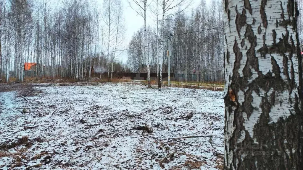 Участок в Тюменская область, Нижнетавдинский муниципальный округ, ... - Фото 1