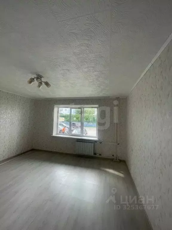 Комната Пермский край, Пермь Республиканская ул., 12 (19.5 м) - Фото 2