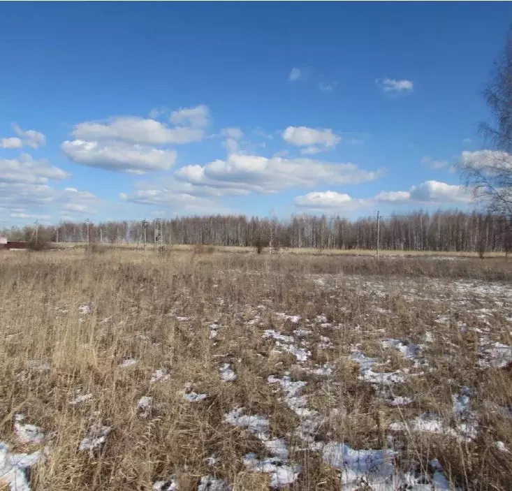 Участок в Московская область, Коломна городской округ, с. Никульское  ... - Фото 0