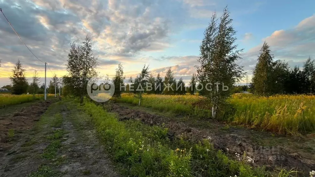 Участок в Рязанская область, Рыбное  (15.0 сот.) - Фото 2