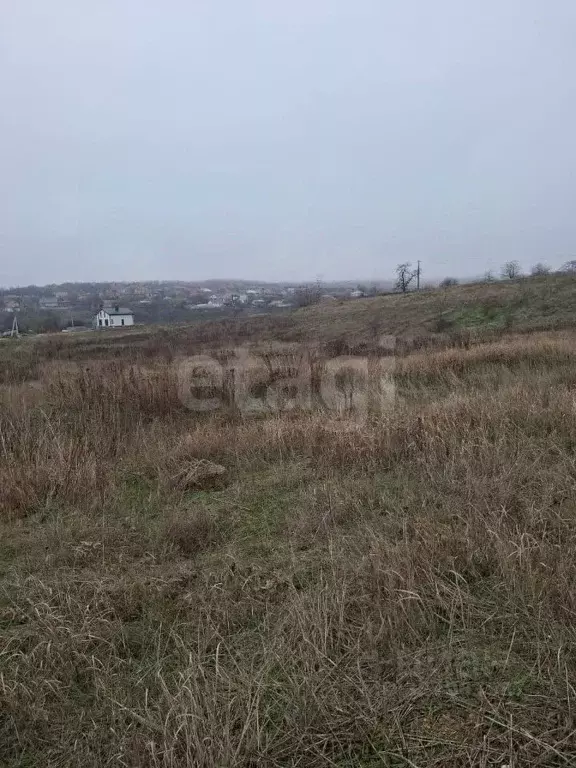 Участок в Ростовская область, Аксайский район, Большой Лог хут. ул. ... - Фото 2