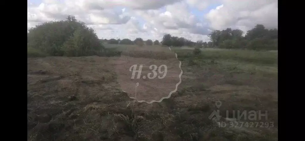 Участок в Калининградская область, Гурьевский муниципальный округ, ... - Фото 2