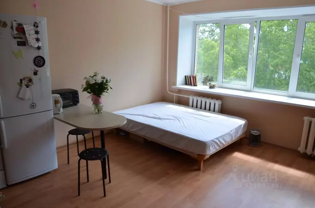 Студия Томская область, Томск Киевская ул., 88 (29.4 м) - Фото 1