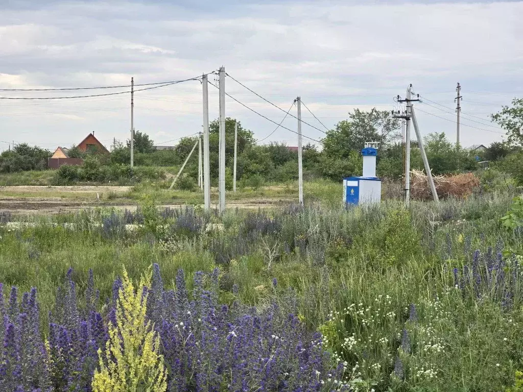 Участок в Московская область, Дмитровский муниципальный округ, д. ... - Фото 1