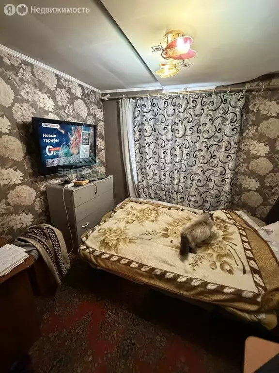 Дом в Абакан, улица Чапаева (55 м) - Фото 1