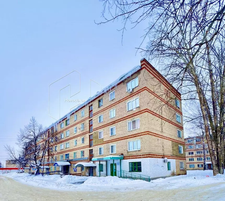 1-к кв. Мордовия, Рузаевка ул. Менделеева, 3 (25.0 м) - Фото 1