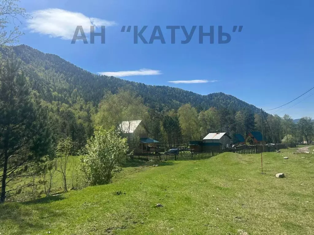 Участок в Алтай, Чемальский район, Элекмонарское с/пос, с. Элекмонар ... - Фото 1