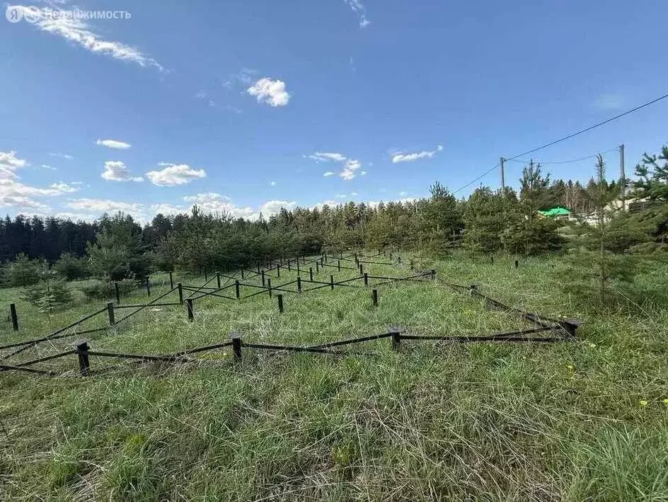 Участок в Кировская область, Слободской муниципальный район, Ленинское ... - Фото 2