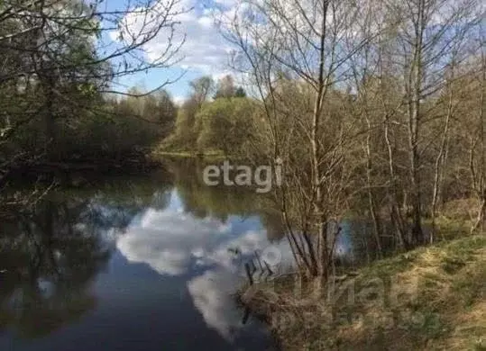 Участок в Калужская область, Тарусский муниципальный округ, Петрищево ... - Фото 1