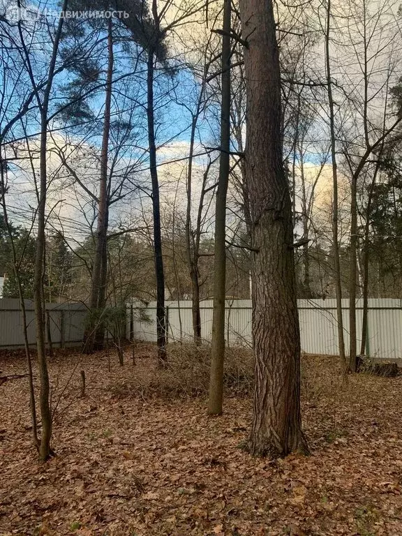 Участок в Кратово, улица Горького, 14 (22.81 м) - Фото 2