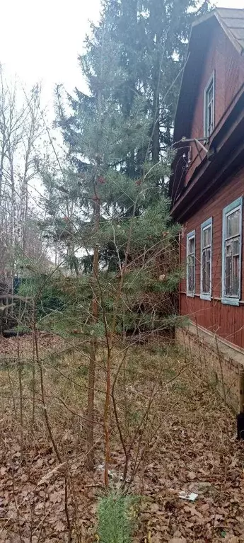 Участок, 9.8 сот., поселения (ижс) - Фото 1