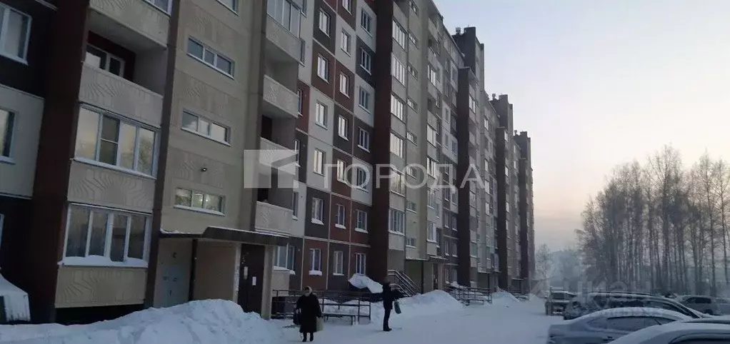 Студия Новосибирская область, Новосибирск ул. Мясниковой, 10 (27.0 м) - Фото 1