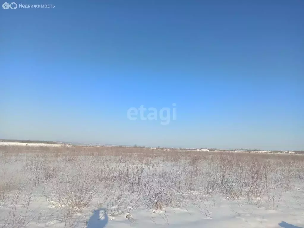 Участок в Амурская область, Благовещенский муниципальный округ, село ... - Фото 0