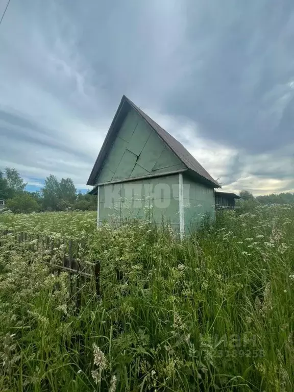 Дом в Вологодская область, Сокольский муниципальный округ, Радуга ... - Фото 1