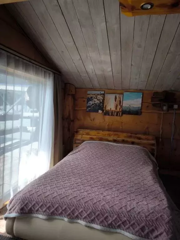 Дом в Алтай, Чемальский район, пос. Усть-Сема ул. Зеленая, 2Б (28 м) - Фото 0