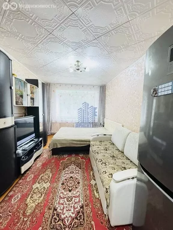 1-комнатная квартира: деревня Эльбарусово, Центральная улица, 3 (33 м) - Фото 1