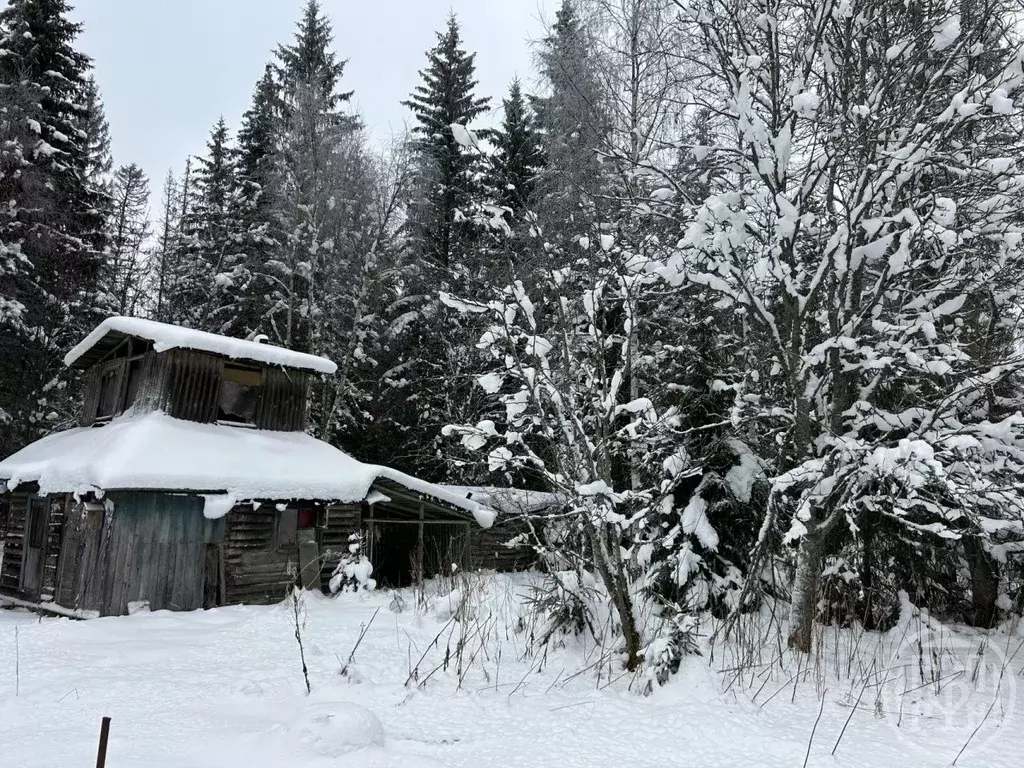 Участок в Ленинградская область, Выборгский район, Первомайское с/пос, ... - Фото 2