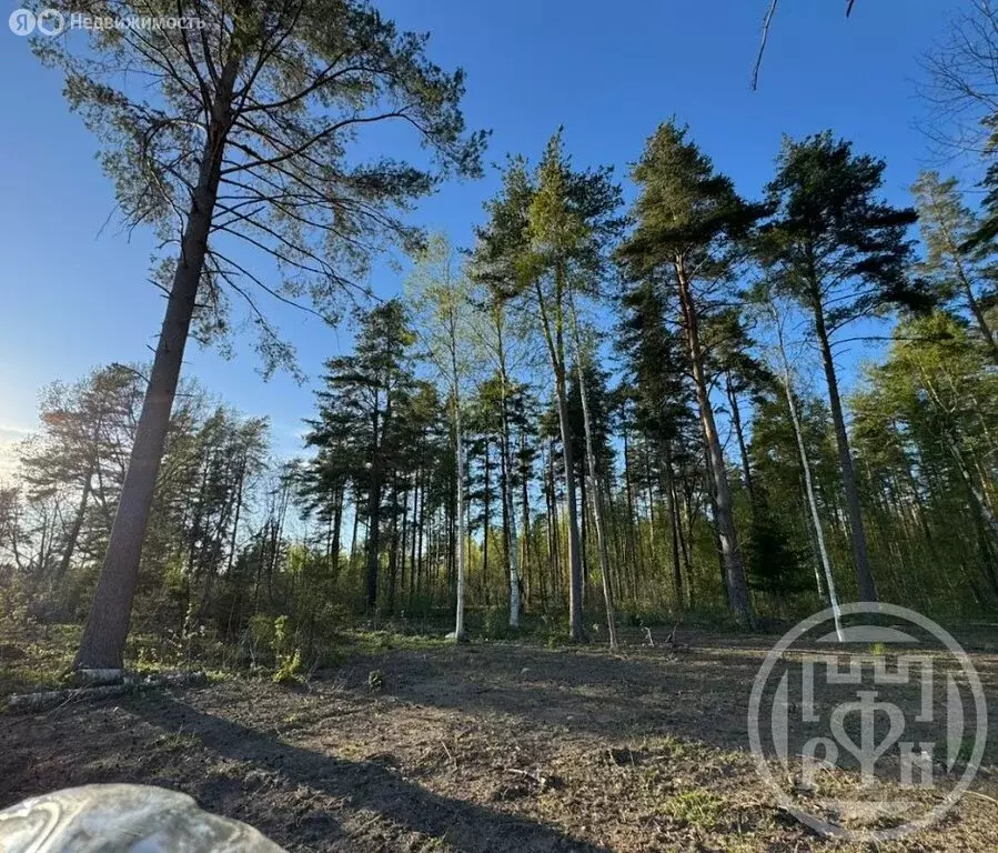 Участок в Выборгский район, Полянское сельское поселение, посёлок ... - Фото 2